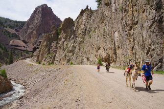 Burro Race Commodore mines Bob Seago