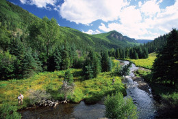 Private creek fly fishing at 4UR Ranch (photo courtesy of 4UR Ranch)