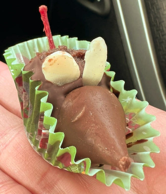 creede chocolate festival