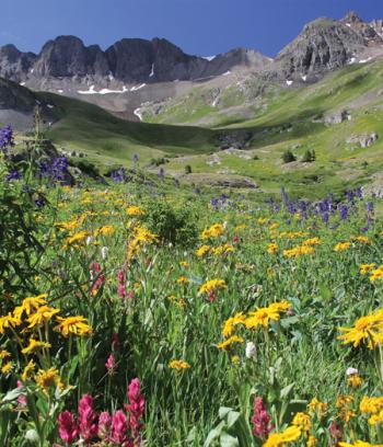 Lake City & American Basin