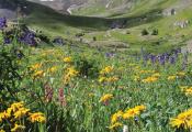 Lake City & American Basin